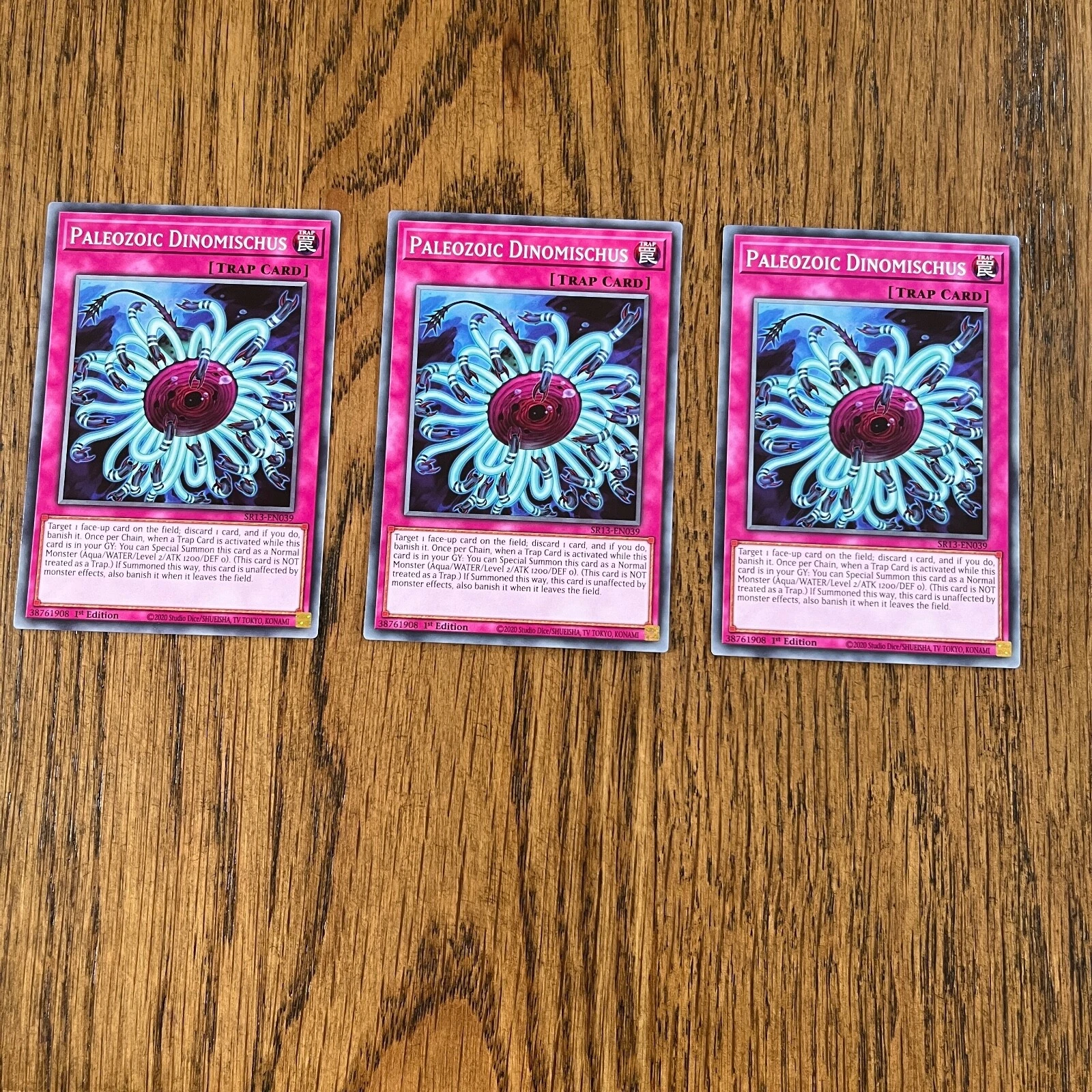Picture 10 of 24
