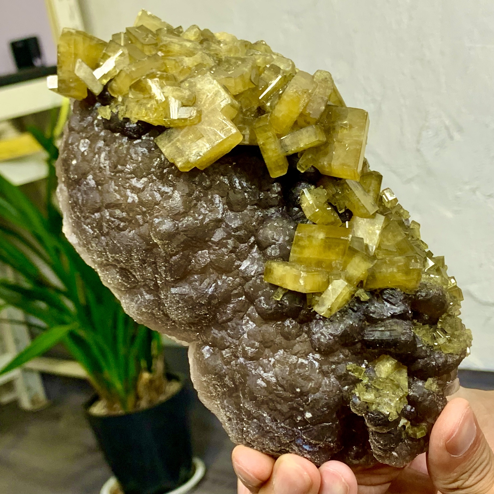 2.64LB Golden Cuboid Barite Crystal on Purple Fluorite Sphere