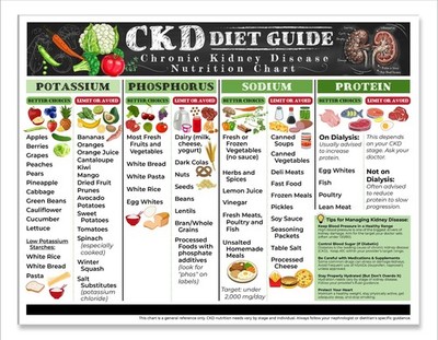 CKD Diet Guide 8.5x11 Kidney Friendly Food Chart Renal Nutrition Ref Poster Arts