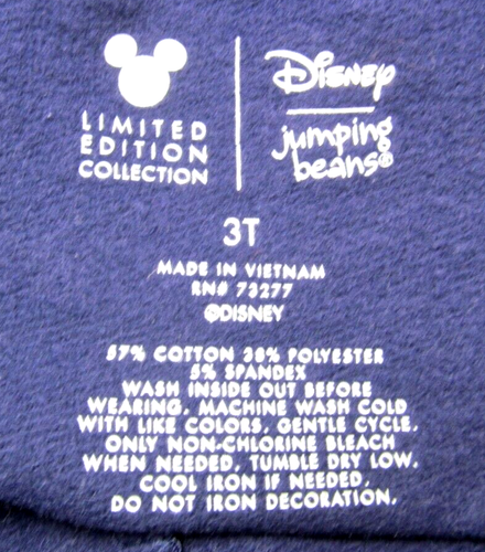 DISNEY JUMPING BEANS FROZEN Girls Size 3T Leggings and Top - Picture 4 of 7