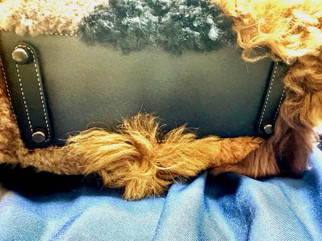 Coach Rogue 25 Patchwork 179869 - image 4