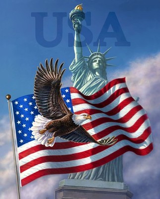 35'' Fabric Panel | David Textiles Digital Patriotic Statue Liberty Eagle Flag