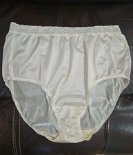 Vintage Satin Shiny Floral Lace FRUIT OF THE LOOM Size 9 Brief Panty nwot