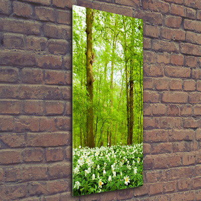 Wand-Bild Kunstdruck aus Hart-Glas Hochformat 50x125 Blumen im Wald