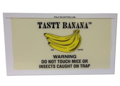 Catchmaster 72TB Tasty Banana Glue Board ( 72 Glue Boards ) Critter & Bug Trap
