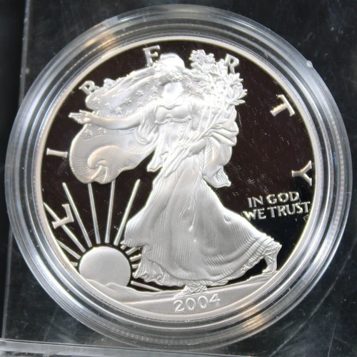 2004 W Proof American Silver Eagle !!