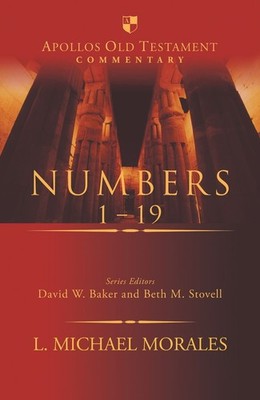 Numbers 1-19 by L. Michael Morales (English) Hardcover Book