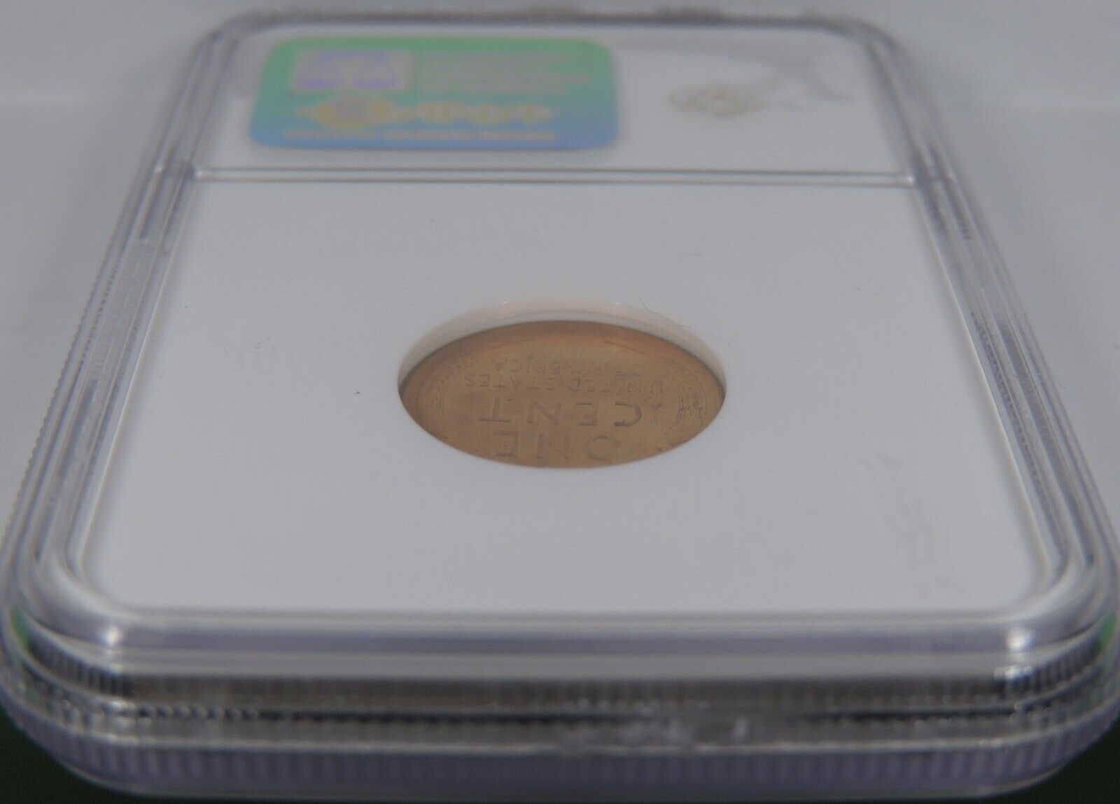 Picture 6 of 6