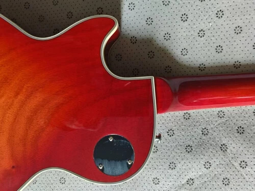 Nueva Guitarra Eléctrica LPCS Recubrimiento Diapasón Negro Puente Fijo Vieira Incrustación - Imagen 5 de 9