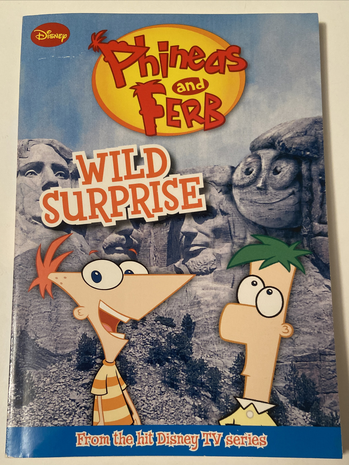 Phineas and Ferb Chapter Book Ser. Phineas and Ferb Wild