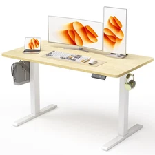 48x24 Inches Height Adjustable Electric Standing Desk with 2 Hooks for Home O...