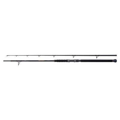 Beastmaster Catfish Multi 230Cm 200G 2St Shimano
