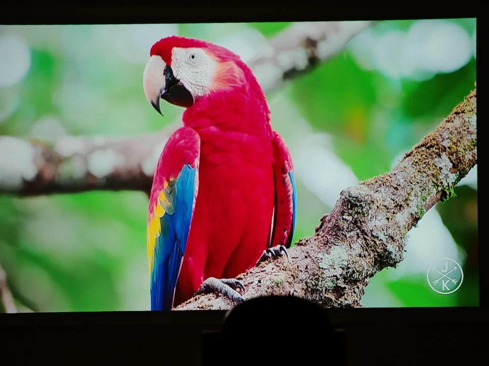 Dangbei Freedo Nur Getestet 450 ISO mit Zubehör - Bild 2 von 3