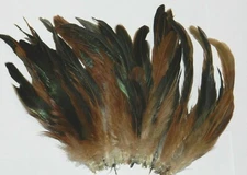 Nimrod's Tackle 50 HALF BRONZE ROOSTER TAIL FEATHERS FLY TYING MATERIAL Pick Sz