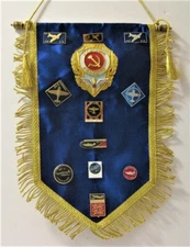 RARE RUSSIAN SOVIET AIR FORCE AWARD BADGE AND PINS ON BANNER