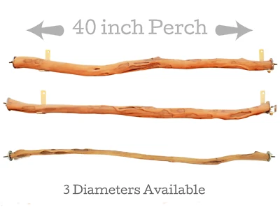 SANDBLASTED MANZANITA WOOD LARGE MANZANITA BIRD / PARROT PERCHES, 40"