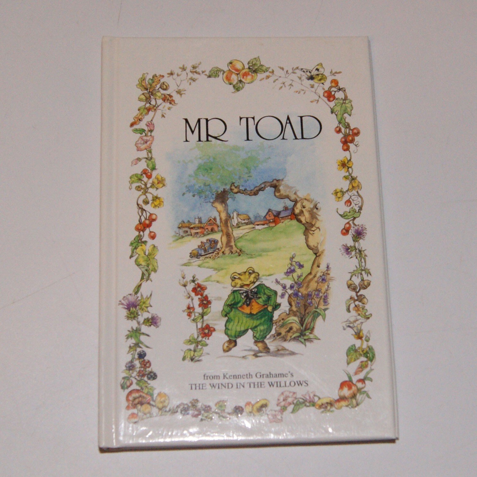 Mr. Toad (The wind in the willows library) by Carruth, Jane Hardback Book The