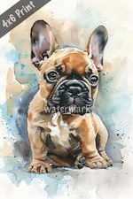 French Bulldog puppy with big eyes watercolor Art 4x6 Print