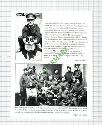 9694) Capt James TB McCudden RFC 56 Squadron Colney Royal Flying Corps - Cutting