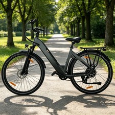 28 Zoll E-Bike Elektrofahrrad 250W 20Ah Fahrrad Pedelec e Citybike Damen Herren