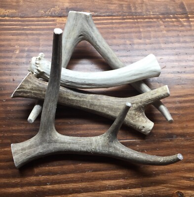1 LB Of Bargain Bones Whole Deer Antler Dog Chew Mix-M/L-Free Shipping