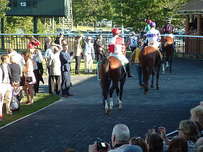SONGBIRD 2016 PHILADELPHIA PARX COTILLION STAKES HORSE RACING 8