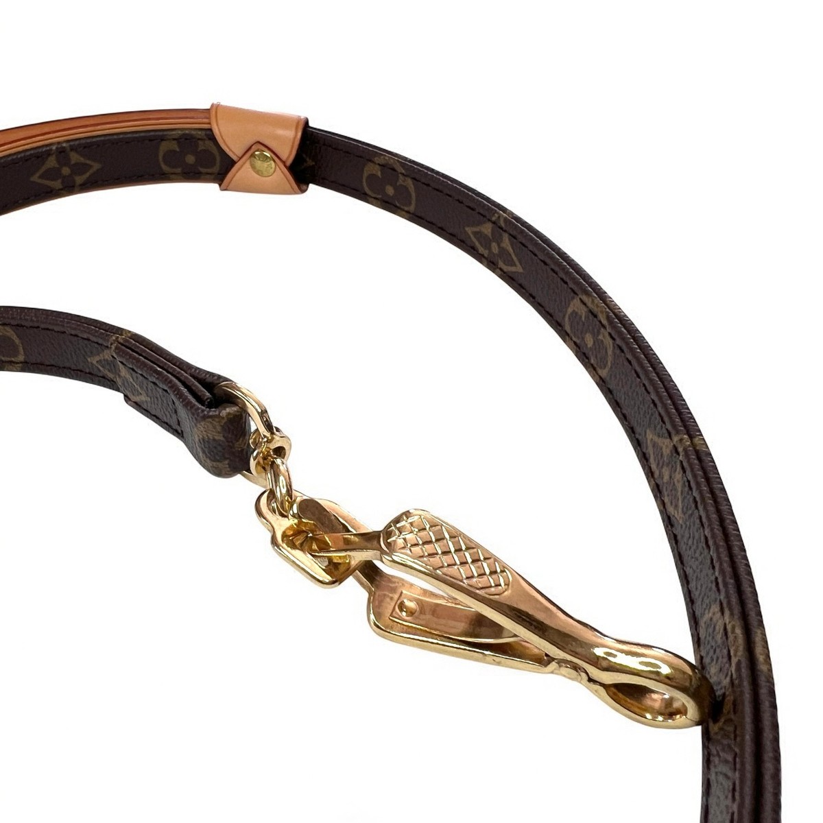 LOUIS VUITTON Baxter PM Dog Collar & Leash Small dog TH0025 TJ2195
