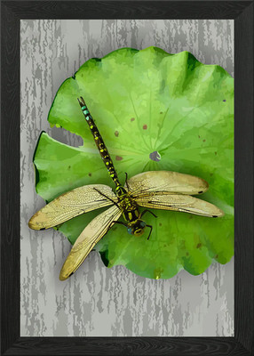 Ruhende Libelle gerahmtes Wandbild Poster Leinwanddruck Bild