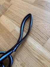 Longe Mit Bodenarbeitsseil