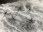 Spider Web w/ 10 Spiders Halloween party Decoration Stretchy Cobweb 200 sq feet