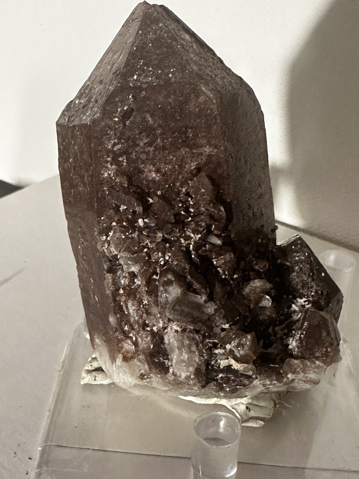 Large Crystal With Hematite Red Feather Lakes Colorado