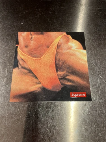 Autocollant Supreme Butthole Surfers Rembrandt Pussyhorse SS21 + SURPRISE GRATUITE