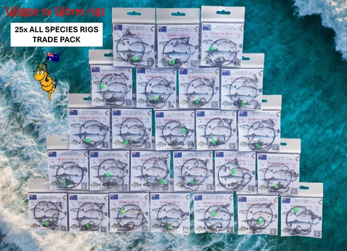 25x ALL SPECIES Complete, ready to fish Beach Fishing Rigs