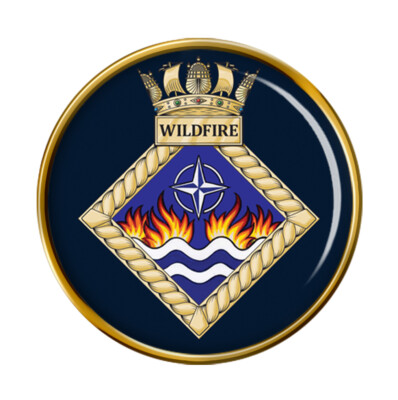 HMS Wildfire, Royal Navy Anstecknadel