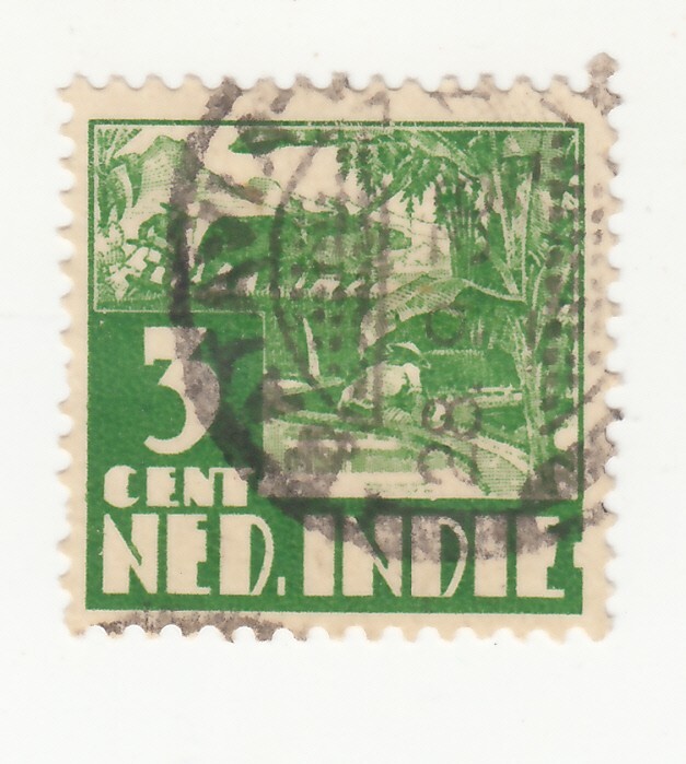 Netherlands East Indies 1934. Water Buffalo, Rice field. 3C. Green SC# NL-IN 167