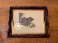 Kurt Meyer-Eberhardt | Junge Katze mit Ball spielend | Original Radierung