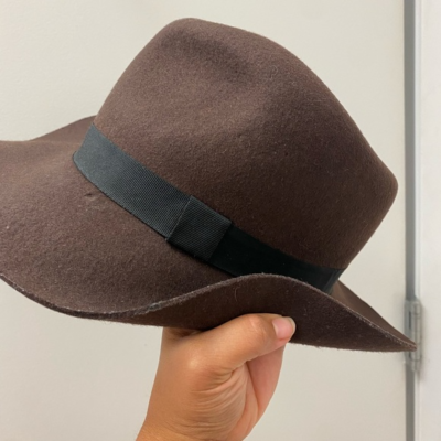Biltmore for Madewell Hat | eBay display picture 2