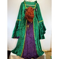Disney Hocus Pocus Winifred Sanderson Sister Costume Adult Wig/earring Halloween