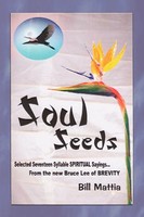 Bill Mattia | Soul Seeds | Taschenbuch | Englisch (2002) | 1st Book Library