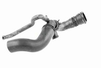 Stange Strebe Stabilisator Hinten Rechts Vaico V10 0694 FÜR Audi Bentley VW