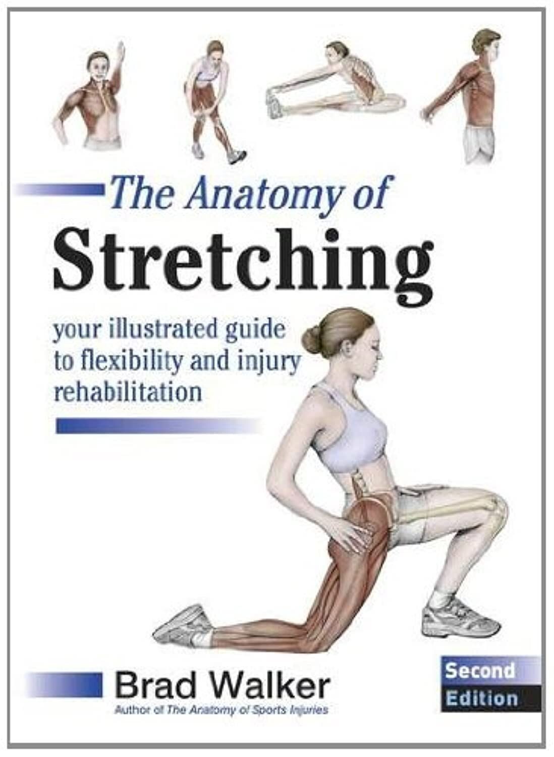 The Anatomy of Stretching - Brad Walker (2nd Ed. Illustrated Paperback, 2011)