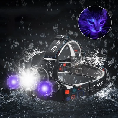 VASTFIRE UV 395nm mit Weiß LED Stirnlampe Kopflampe Scorpion Bernstein Schwarzlicht Akku