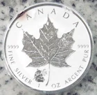 2016 Canadian Silver Maple Leaf 1 oz — photo from another recent sale