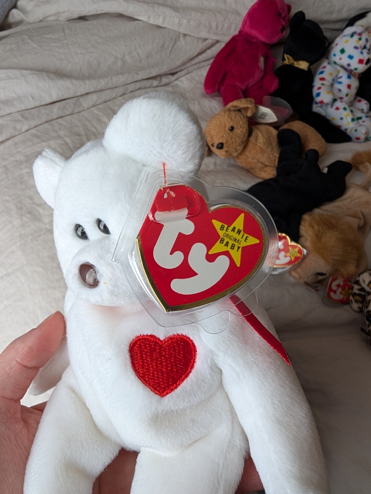 TY Early Run Valentino the Bear  1993/94  Brown NOSE RARE Beanie Baby thumbnail 2