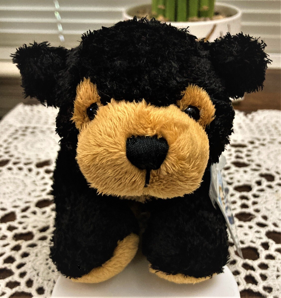 WEBKINZ SUN BEAR (Retired) HM613 New with Unused Code WEBKINZ SUN BEAR (Retired) HM613 New with Unused Code