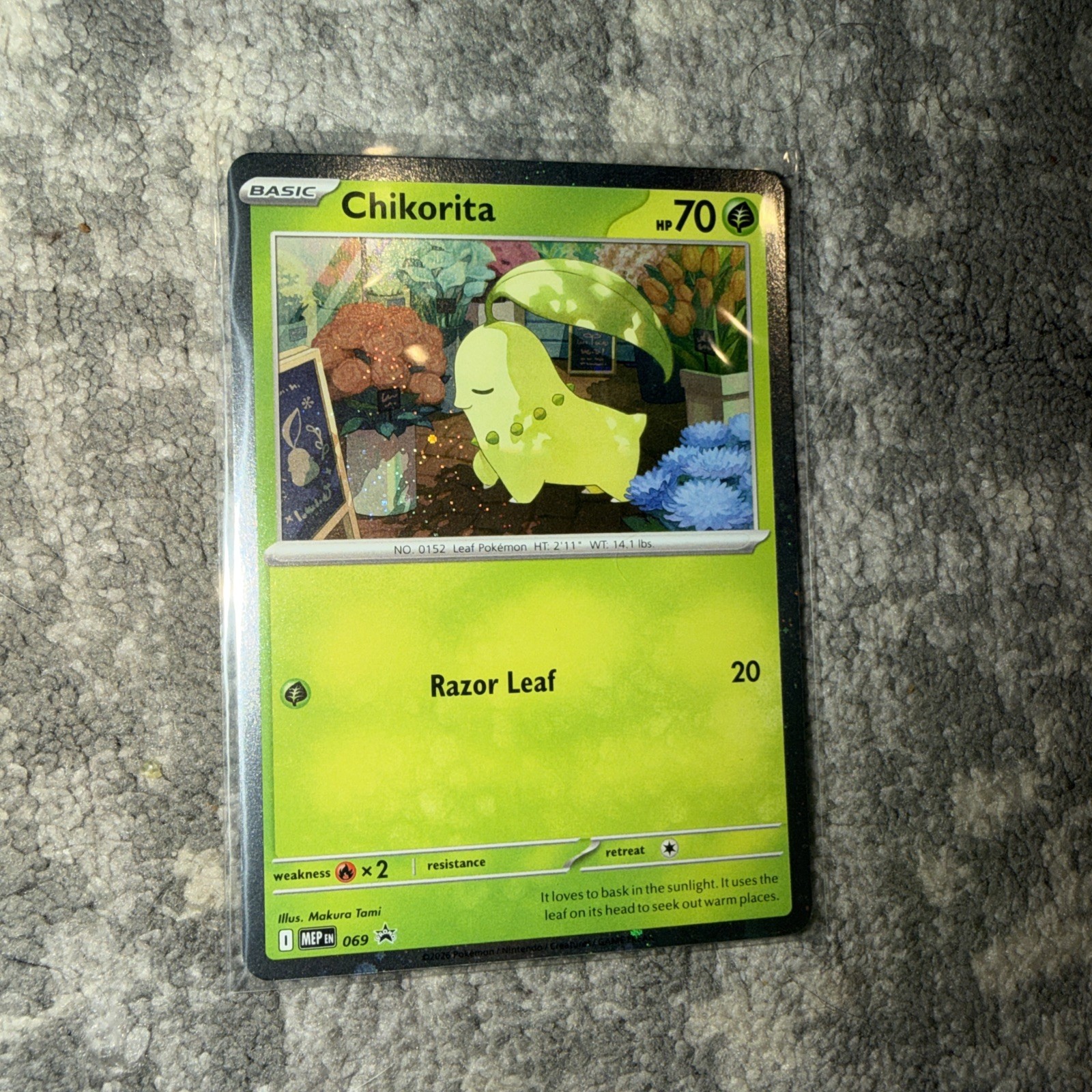 Pokemon Company Chikorita 069 Promo Holo 70 HP Basic Grass Pokemon TCG