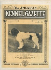 Cubierta para perro The American Kennel Gazette Cocker Spaniel solo 1 de mayo de 1929 de colección