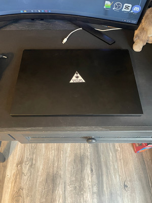 MSI GS66 Stealth (READ DESCRIPTION!!!)