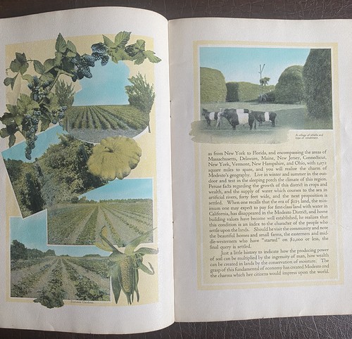 1916 MODESTO CA - beautiful illustrated tourist guide “Auto Gateway to Yosemite” - Picture 7 of 11