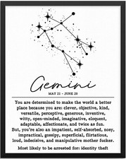 Gemini Clever Objective Kind Versatile Witty Zodiac Sign Celestial -MAGNET